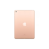 iPad 5th Gen (2017) Wi-Fi + Cellular